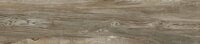 КЕРАМОГРАНИТ 200х900 WONDERWOOD (ВОНДЕРВУД) GFA92WDW44R КОРИЧНЕВЫЙ МАТОВЫЙ