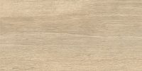 Керамогранит 300x600 Брентвуд / Brentwood GFA3060BWD44R коричневый матовый