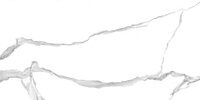 Керамогранит 600x1200 Anima (Анима) GT120601503PR белый мрамор полированный
